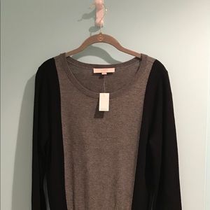 NEW Loft Sweater Dress - Size M